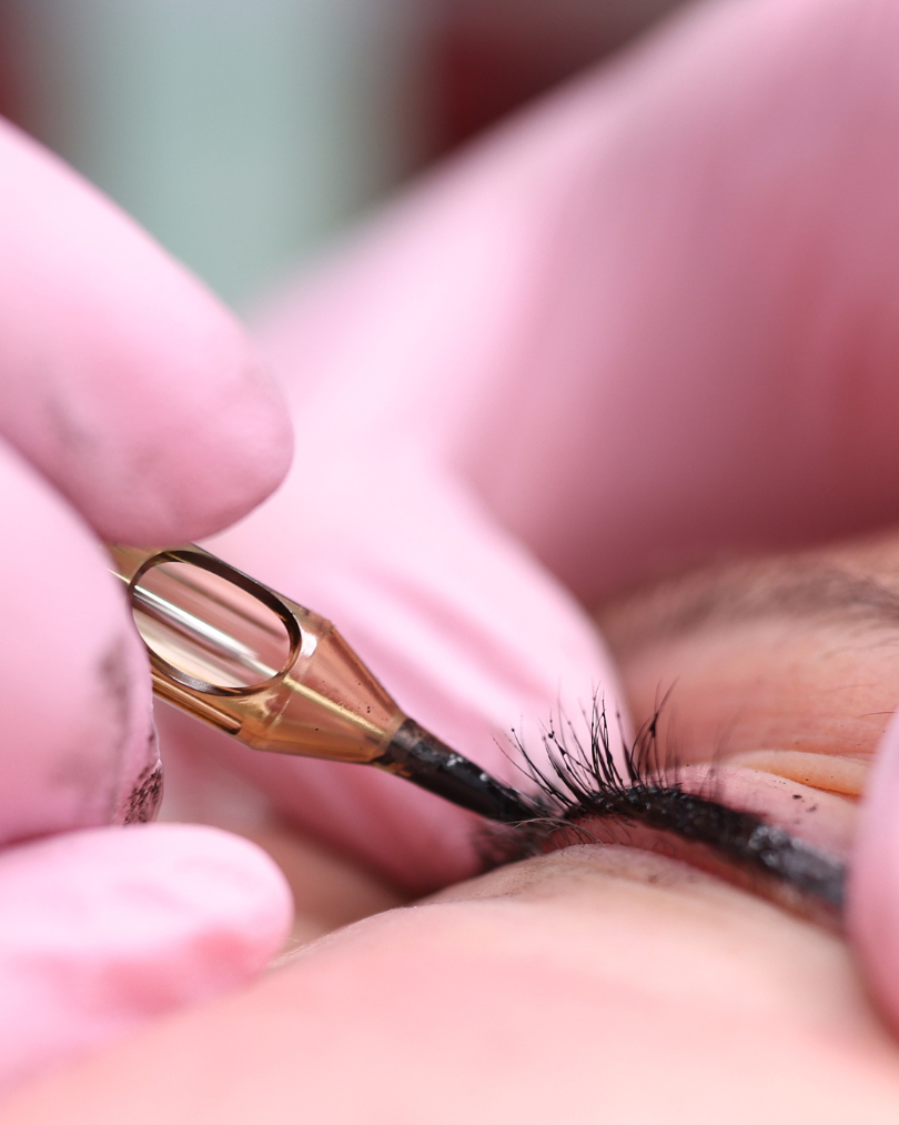 micropig ojos superior